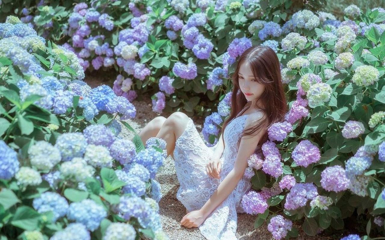 北京市第十五届精品盆景展开幕 “景山消夏夜”将开启